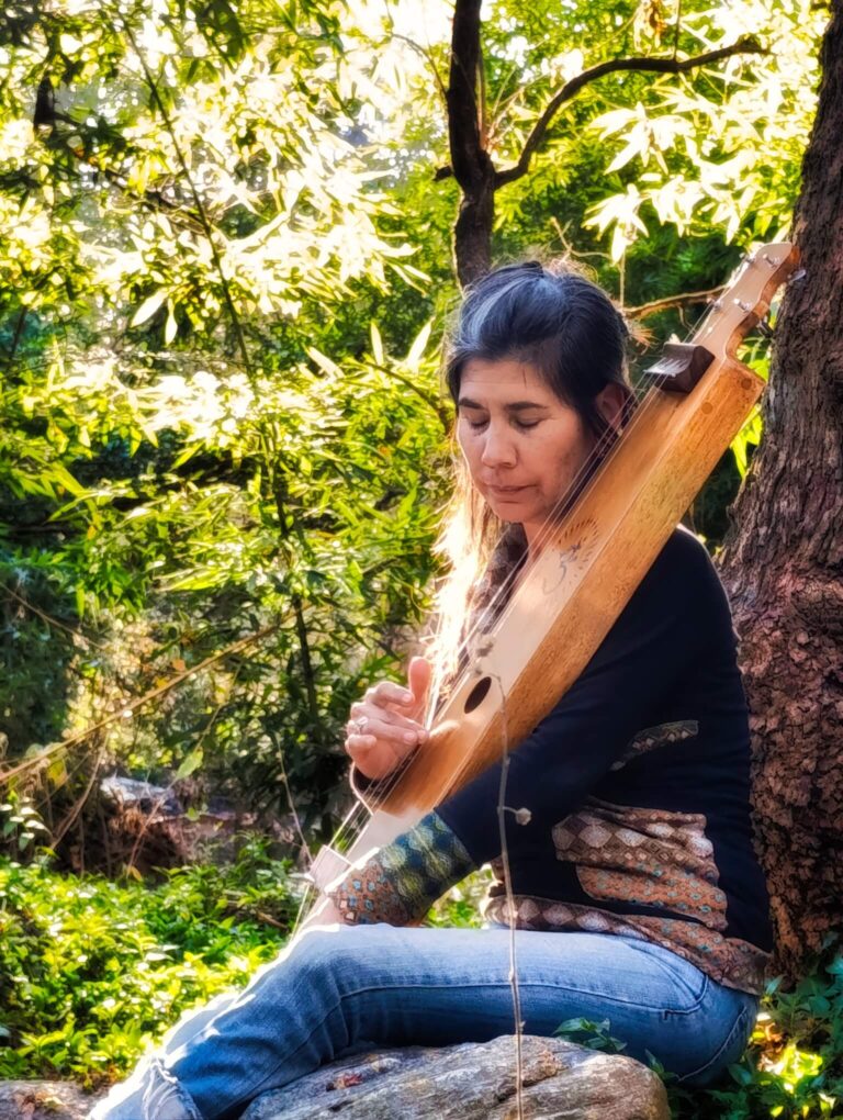 meditacion con tampura instrumento